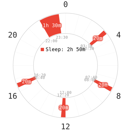 Everyman - Polyphasic Sleep Wiki