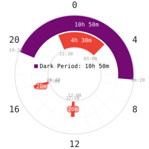 20201216221941!chunkedupload 6938b730f958.png