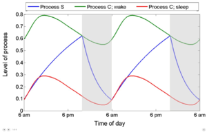 Two-process model of sleep graph.png
